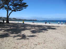 Beach in Monterey.