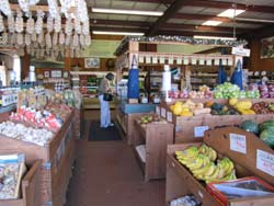 picture of the inside of Pezzini's store.