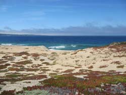 Ocean view near Sand City